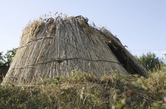 Wigwam acoperit cu stuf — primul prototip pe terenul familiei Racolța